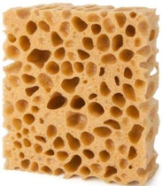Pedag Sponge - přírodní mořská houba