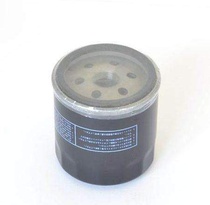 ATHENA olejový filtr BMW K/R (HF163)