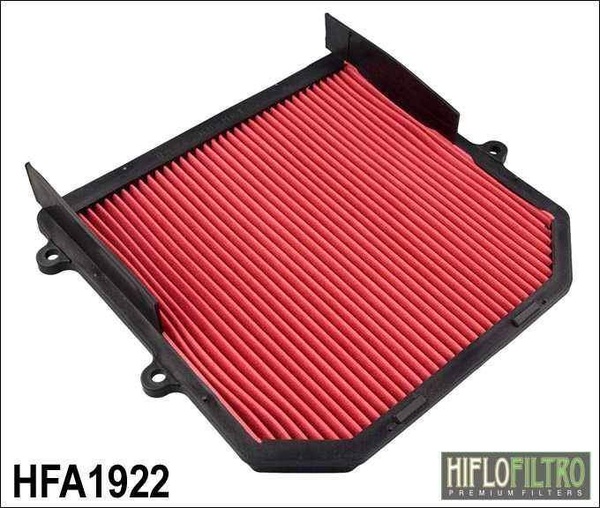 Vzduchový filtr Hiflo Filtro HFA1922 na motorku